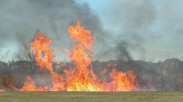 Field on fire during a prescribed burn