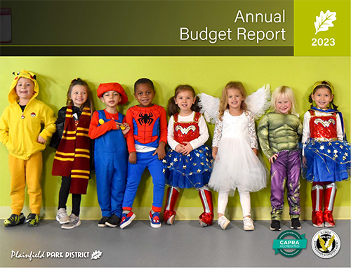 Annual Budget Report Cover